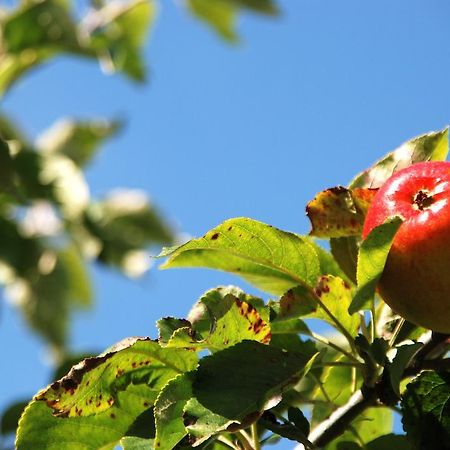 Cradog Farmhouse B&B Urlingford ภายนอก รูปภาพ